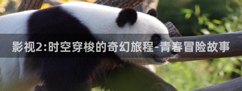 桃花影院最新电视剧免费